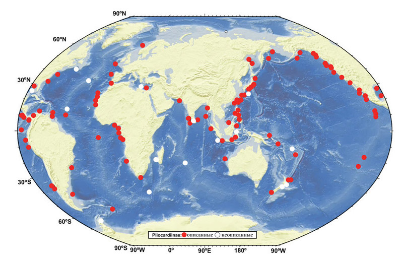 Hydrothermal and methane discharges in the World Ocean