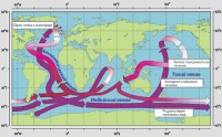 Group of Climate Variability Model for Oceans and Seas