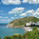 Ecological disaster in the Black Sea: new data on the consequences of the fuel oil spill in the Black Sea