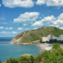 Ecological disaster in the Black Sea: new data on the consequences of the fuel oil spill in the Black Sea