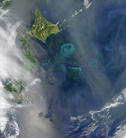 Реферат: Открытие и исследование синоптических вихрей открытого океана