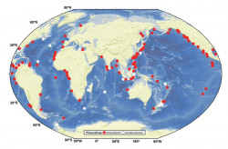 Распространение двустворчатых моллюсков плиокардиинв Мировом океане