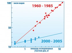 Падение биоразнообразия прибрежных донных сообществЧерного моря после вселения гребневика Mnemiopsis leidyi Падение биоразнообразия прибрежных донных сообществЧерного моря после вселения гребневика Mnemiopsis leidyi