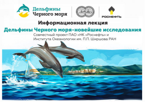 delphin banner nov2020