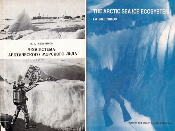 Arctic 1997 1 696x1024