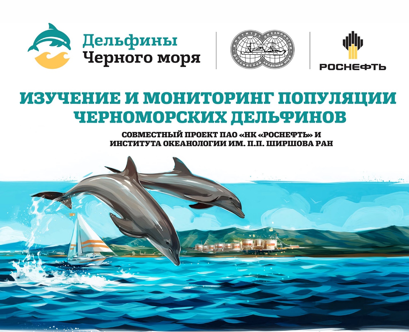 Сайт центра дельфин. Сертификат на плавание с дельфинами. Подарочный сертификат с дельфинами. Центр изучения черного моря. Подарочный сертификат дельфины.