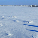 Химия снега: ученые показали, как таяние влияет на состав воды реки Обь