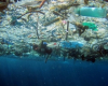 Пластиковые острова в океане: ученые-океанологи предложили решение проблемы