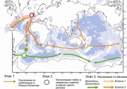 Крупномасштабные закономерности распределения донной фауны в океане