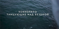 Кокколито. Танцующие над бездной