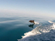За дельфинами в Черном море ученые будут следить с воздуха