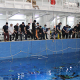 Сотрудники ИО РАН приняли участие в Открытом кубке России по телеуправляемым подводным аппаратам
