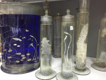 Коллекция глубоководной фауны и океанических рыб