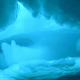 Ученые выяснили, как распределена жизнь на дне Северного Ледовитого океана