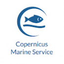Copernicus Marine Service Online Training Workshop for the Mediterranean Sea