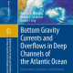 В издательстве «Springer» вышла монография «Bottom Gravity Currents and Overflows in Deep Channels of the Atlantic»
