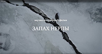 Запах нерпы