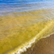 Учёный рассказал, чем опасна для отдыхающих высокая температура воды в Балтийском море