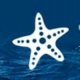 Журнал «Океанологические исследования» вошел в Перечень ВАК