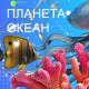 «Планета Океан» в ИО РАН на Международном фестивале НАУКА 0+